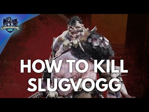 Slugvogg Boss Fight and Ending Scene (Dungeons &amp; Dragons: Dark Alliance)