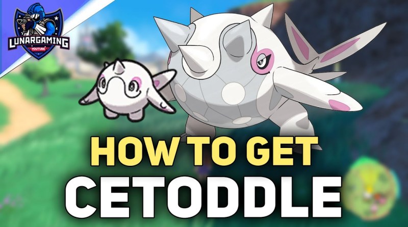 How To Get Cetoddle (Cetitan) Pokémon Scarlet and Violet maxresdefault 17